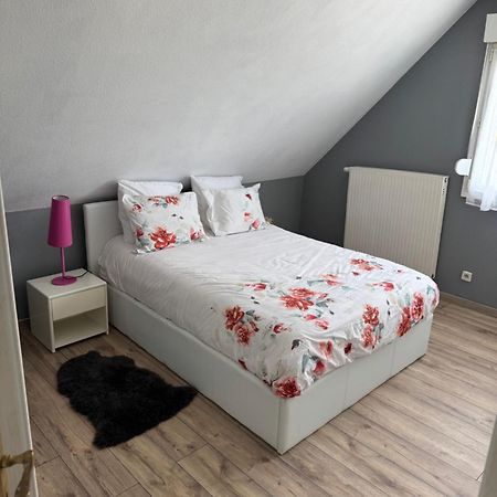 Au Petit Logelbach Apartment Wintzenheim Luaran gambar