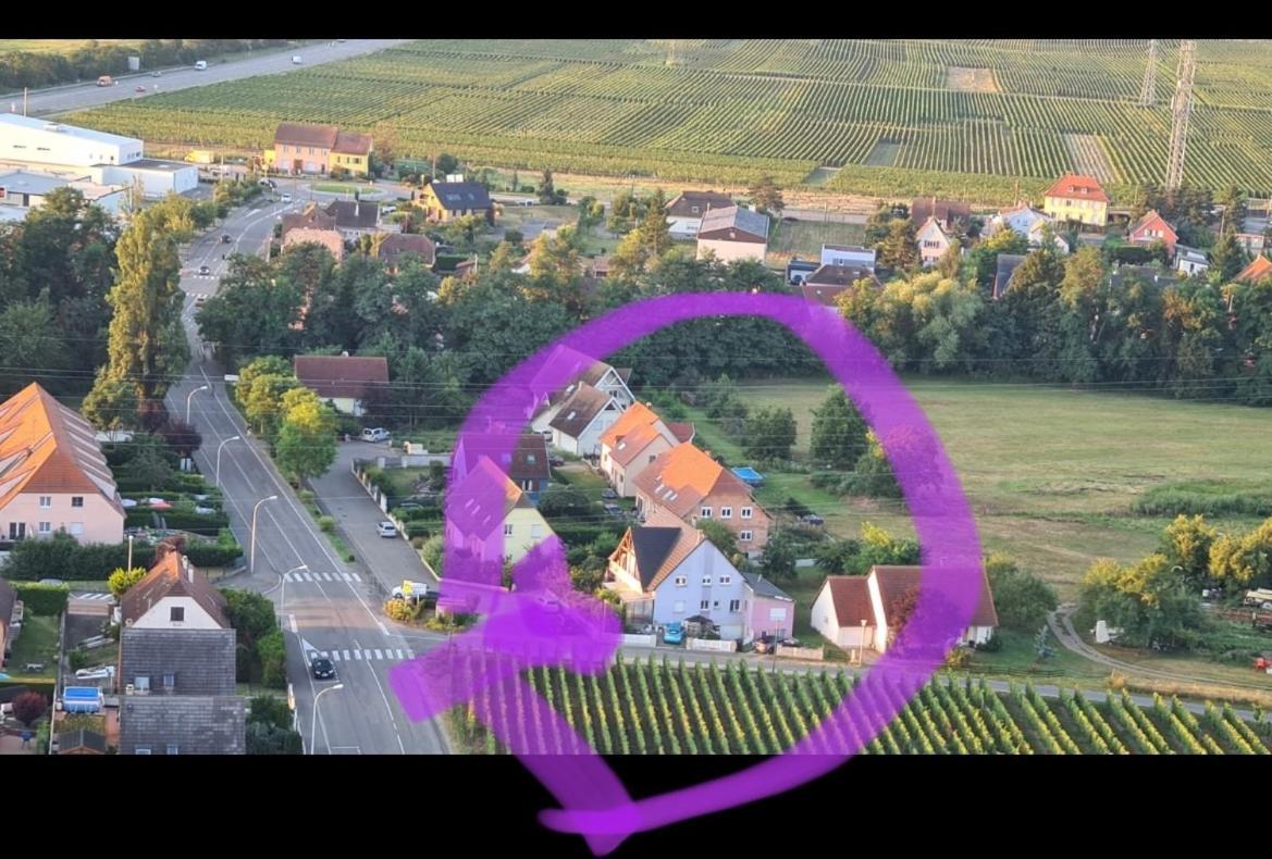 Au Petit Logelbach Apartment Wintzenheim Luaran gambar