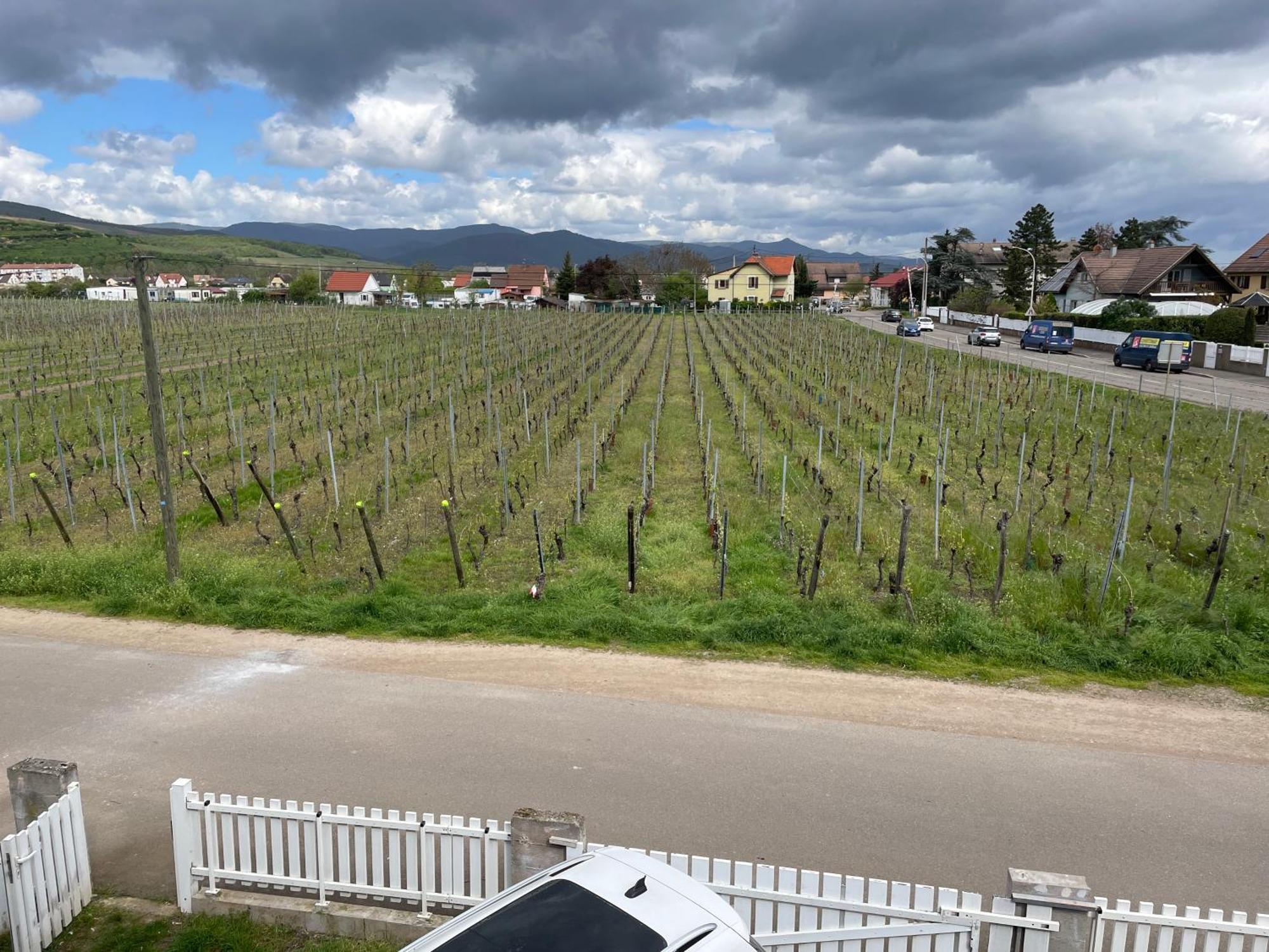 Au Petit Logelbach Apartment Wintzenheim Luaran gambar